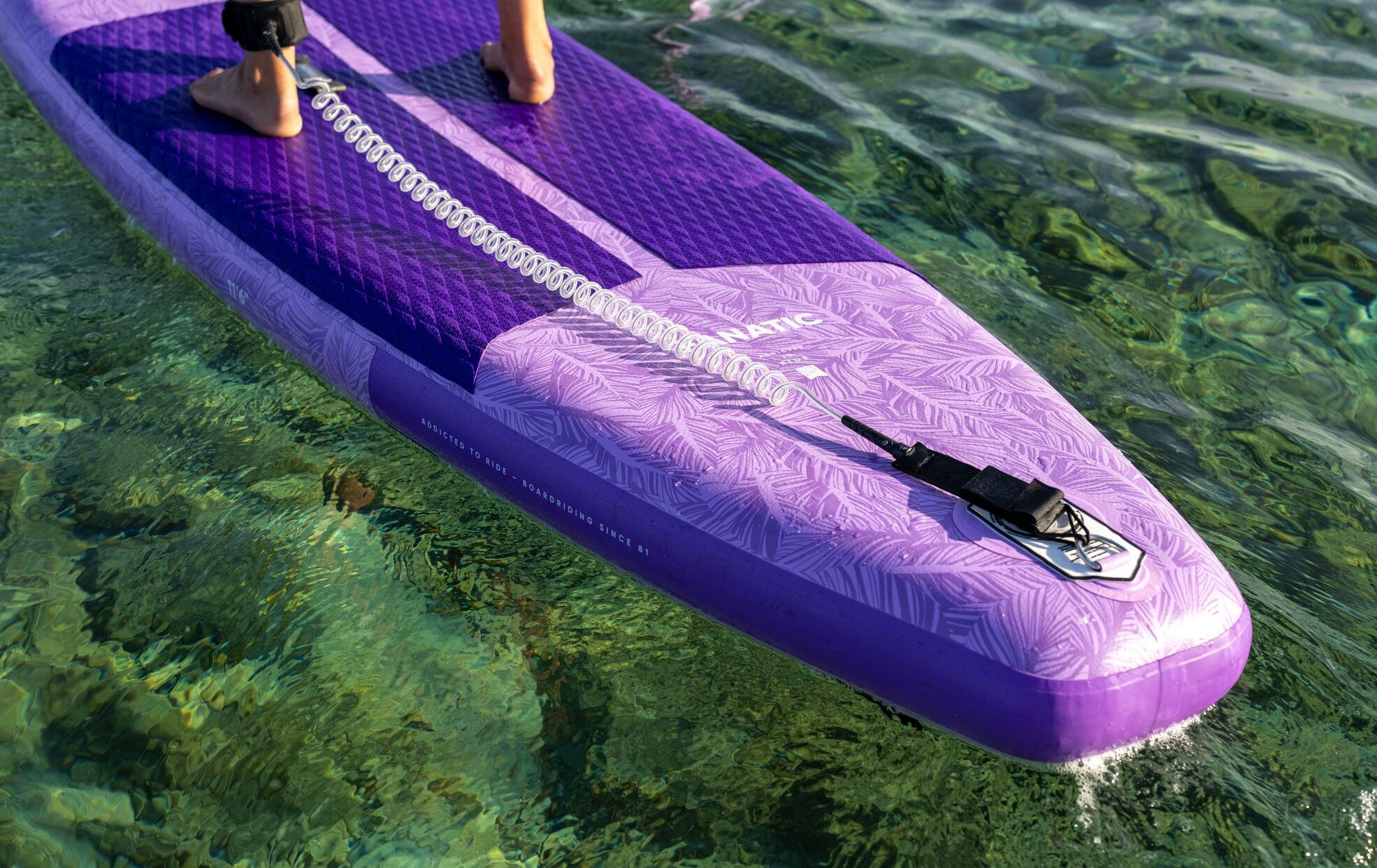 Surfshop Kiel SUP Zubehör Leashes