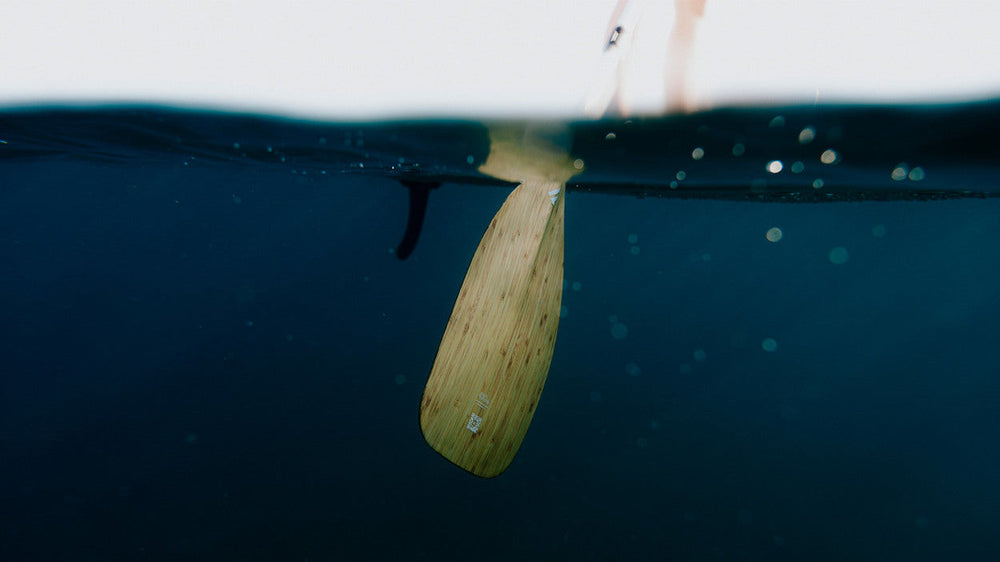 Surfshop Kiel SUP Paddel
