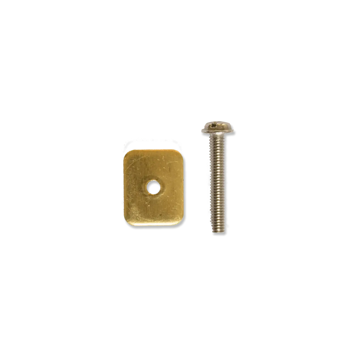 Fanatic Screw Set for Composite Boards (incl. Washer) 2024  Spareparts