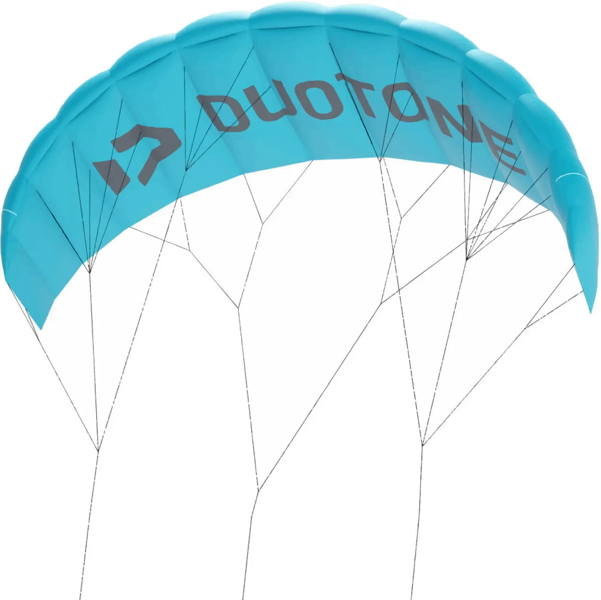 Duotone Trainer Lizard without leash 2024  Kites