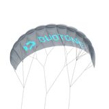 Duotone Trainer Lizard without leash 2024  Kites