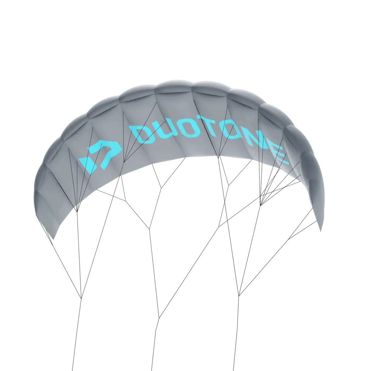 Duotone Trainer Lizard without leash 2024  Kites